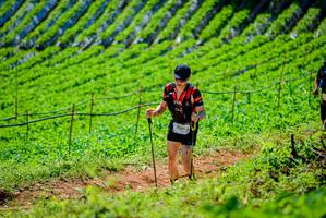 BIB: 2244
                            <button type="button" onclick="openModal(19163247)" class="btn btn-primary btn-sm float-right btn-popup" data-toggle="modal" data-target=".modal-high-quality">
                        <i class="fas fa-shopping-cart"></i> Add to Cart
                    </button>
                                            <button type="button" onclick="isThisMe(19163247, true)" class="btn btn-success btn-sm float-right btn-popup btn-isme hidden" data-toggle="tooltip" data-placement="bottom" title="นี่คือรูปของคุณใช่ไหม คลิกที่นี่เพื่อเอาเข้าอัลบั้ม">
                        <i class="fas fa-plus"></i> Add to album
                    </button>
                    <button type="button" onclick="isThisMe(19163247, false)" class="btn btn-warning btn-sm float-right btn-popup btn-isnotme hidden">
                        <i class="fas fa-ban"></i> Remove from album
                    </button>